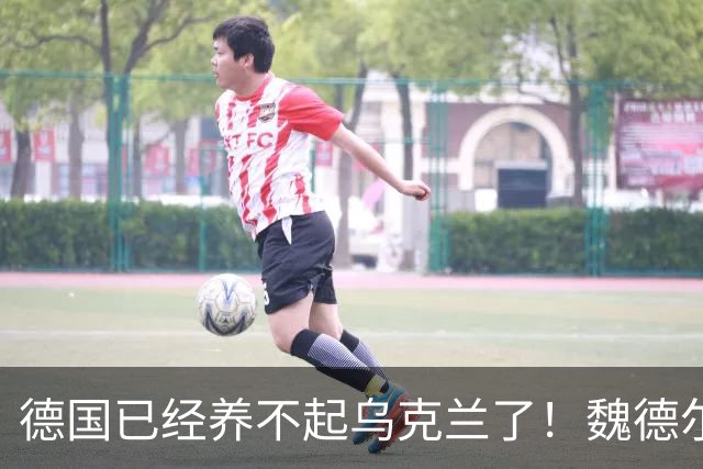 德国已经养不起乌克兰了！魏德尔明确表态，泽连斯基接的住吗？